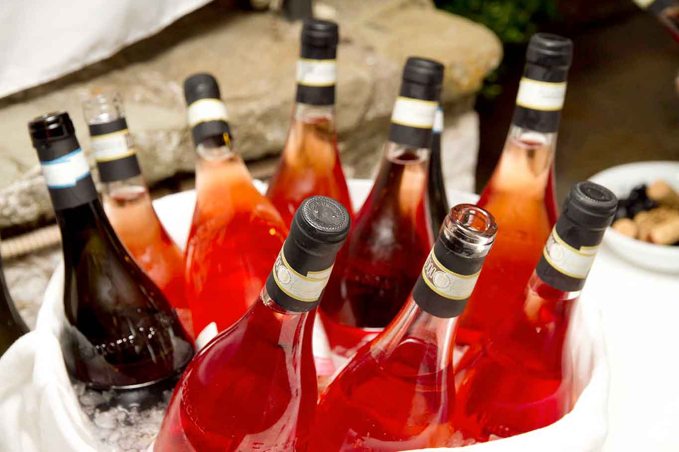 vino rosato rosé la rivolta