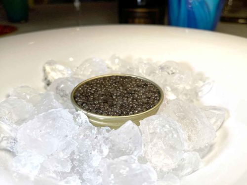 Caviale