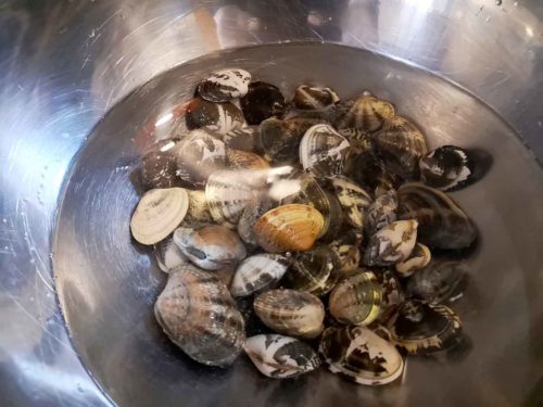 Vongole veraci