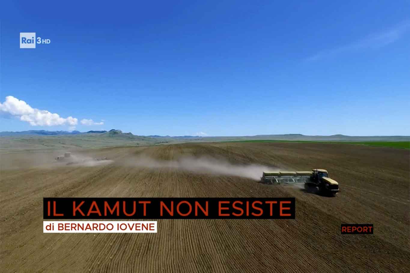 Il Kamut non esiste di Bernardo Iovene Report