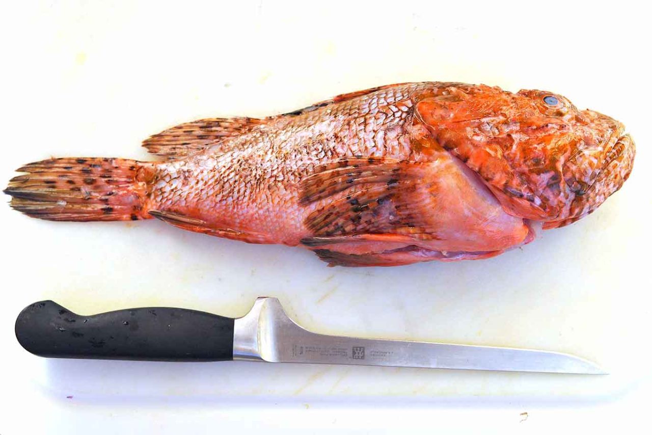 pesce a casa: coltelli