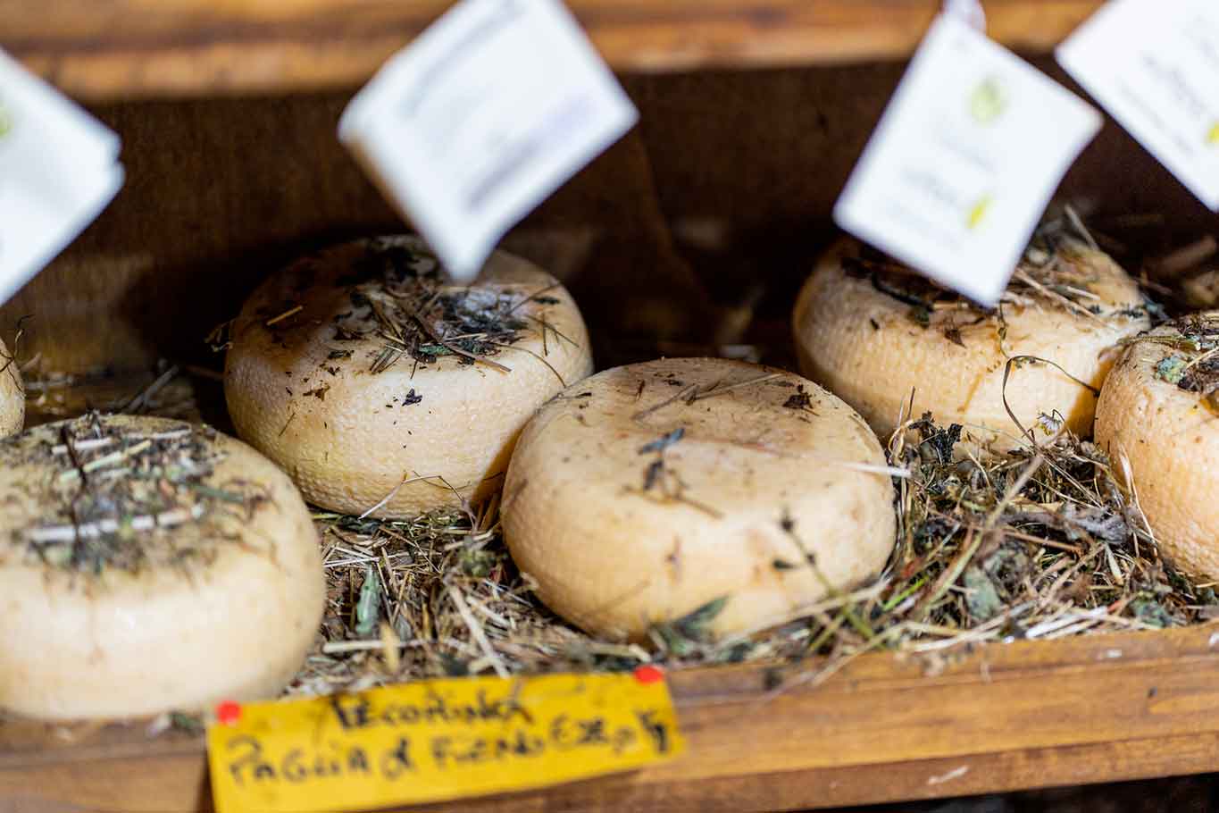 Pecorino di Pienza