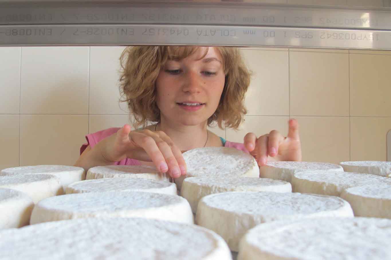 formaggio Murazzano Dop Langhe Piemonte