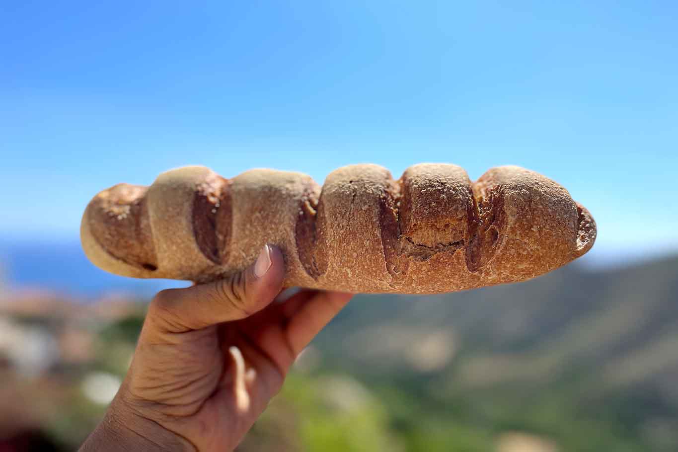 Storie di Pane Cilento