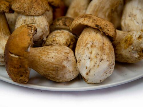 migliori ristoranti funghi porcini in Abruzzo