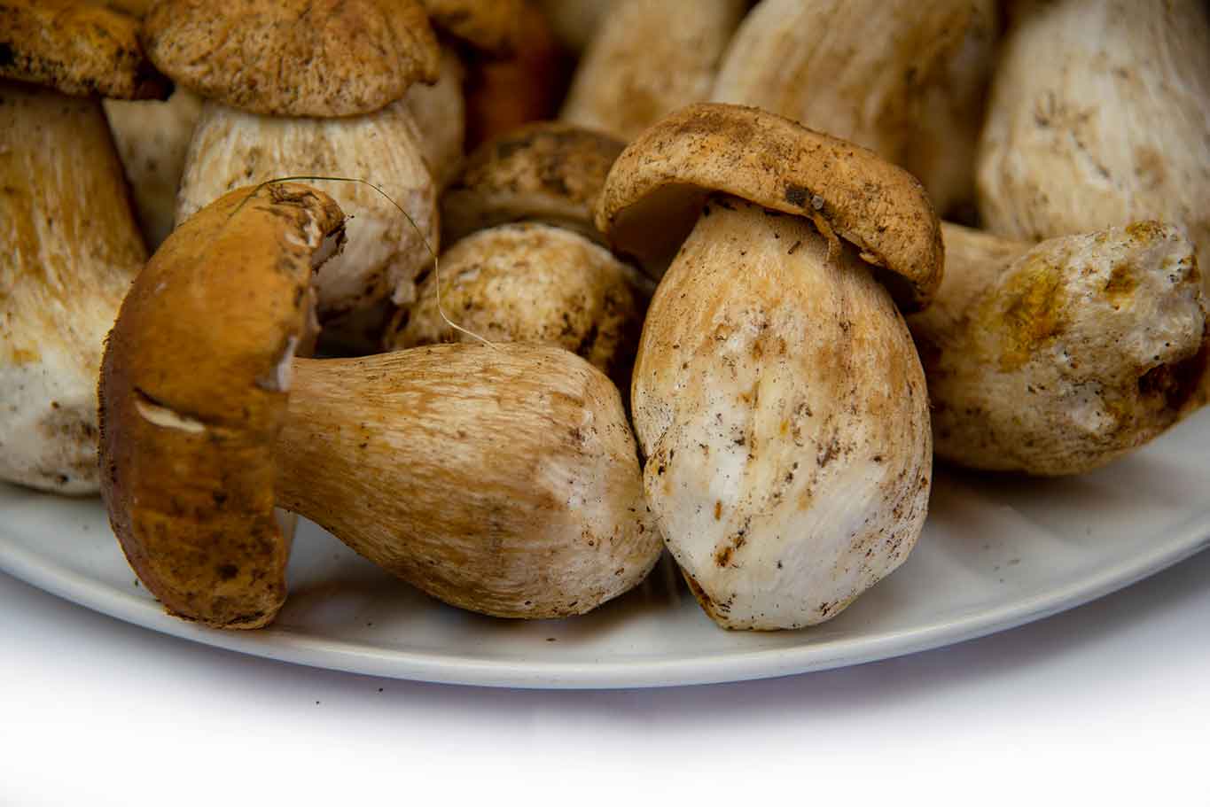 migliori ristoranti funghi porcini in Abruzzo