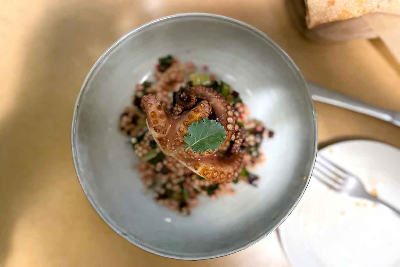 Degustazione ristoro e dispensa Milano fregola e polpo