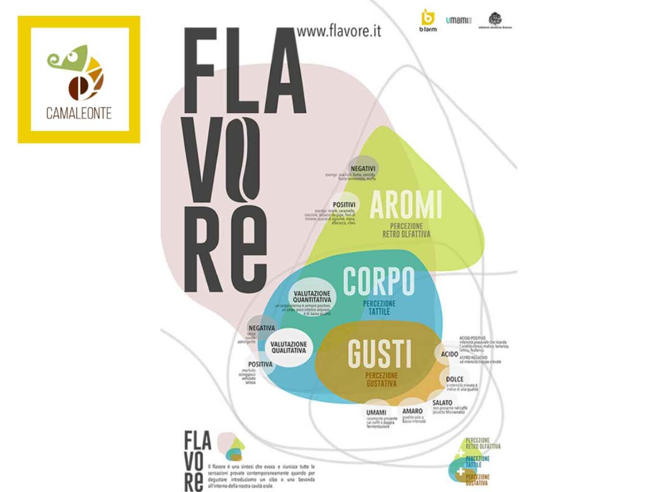 Guida dei caffè e delle torrefazioni in Italia: Flavore