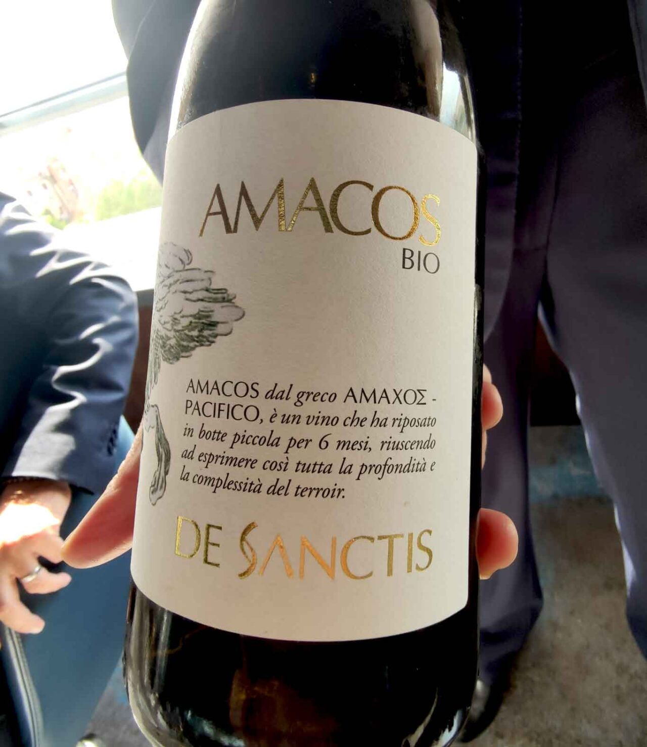 vino Amacos Frascati superiore Bio