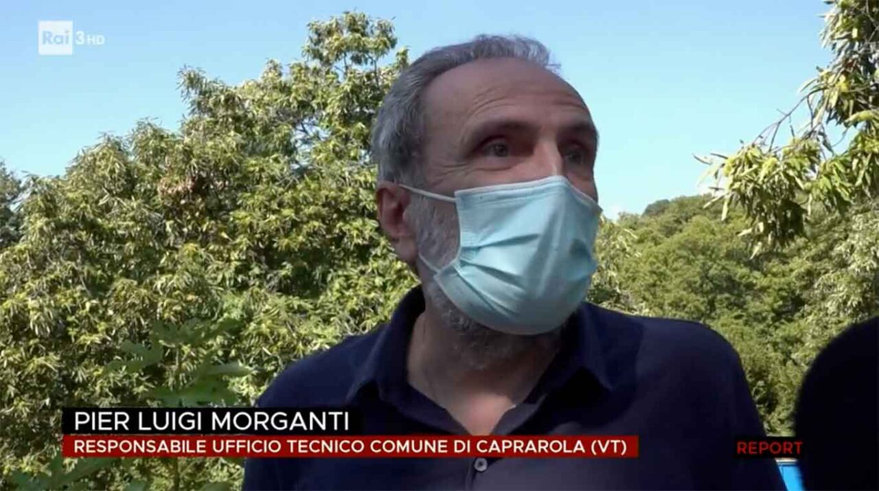 Report puntata nocciole Caprarola