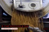puntata nocciole Report