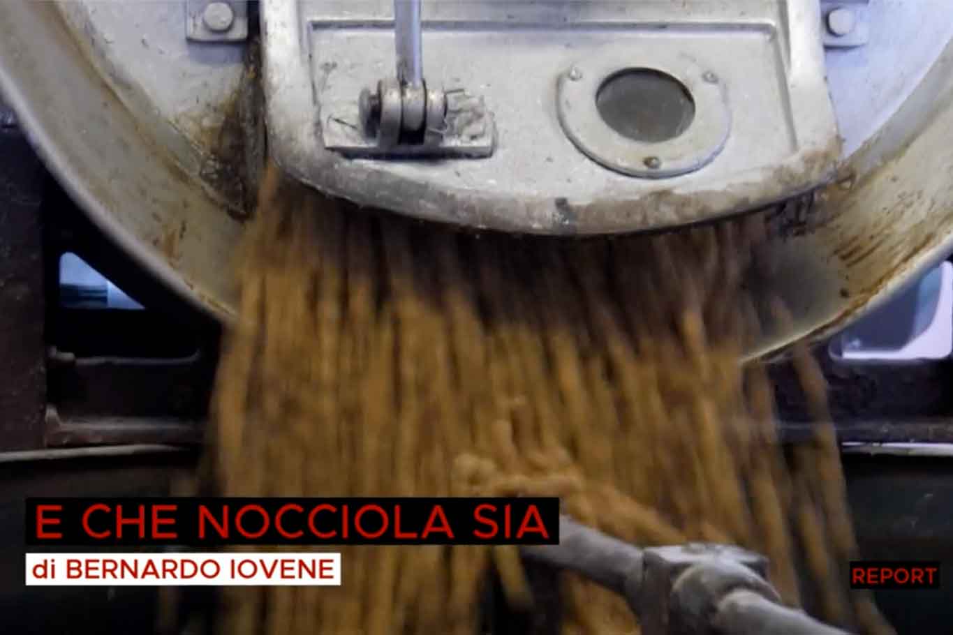 puntata nocciole Report
