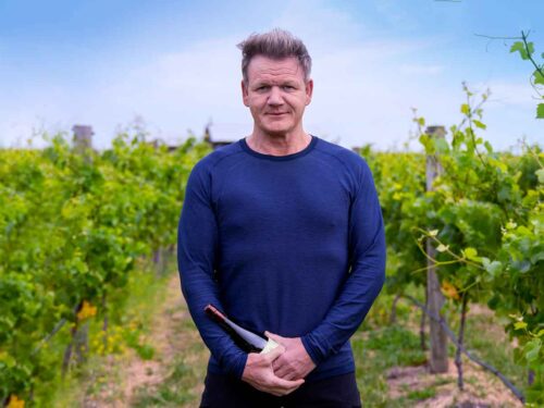 Gordon Ramsay produttore di vino italiano tra i vigneti