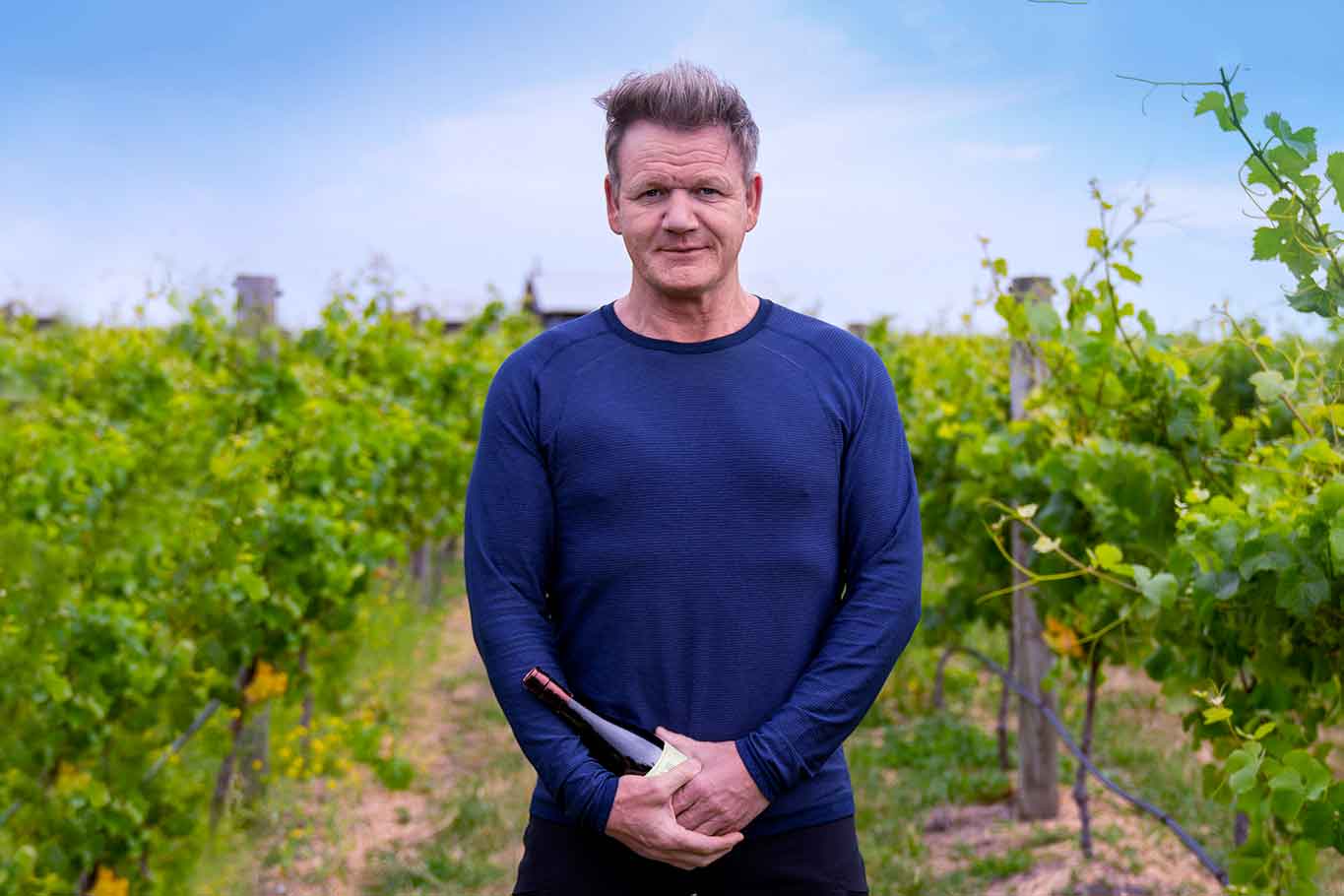 Gordon Ramsay produttore di vino italiano tra i vigneti