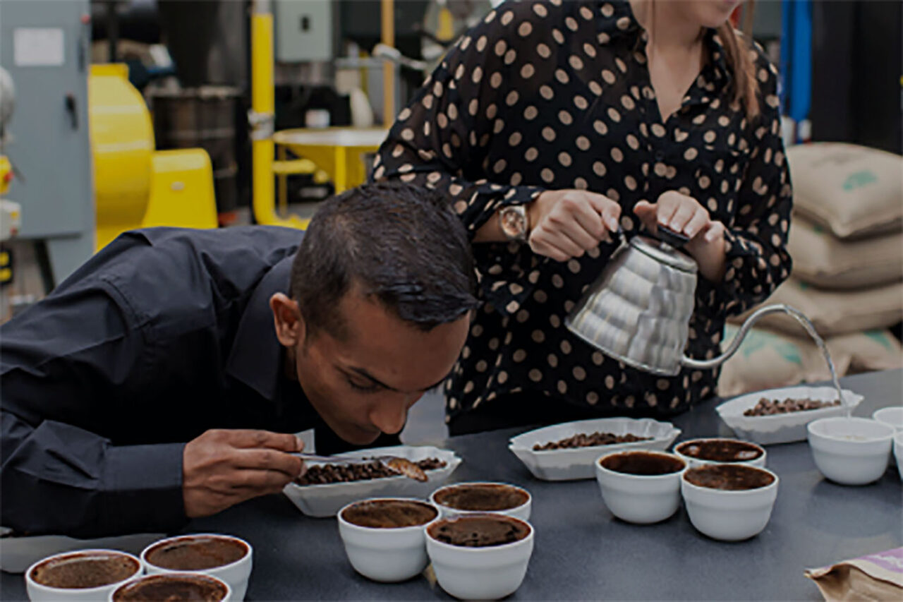 specialty coffee cupping


