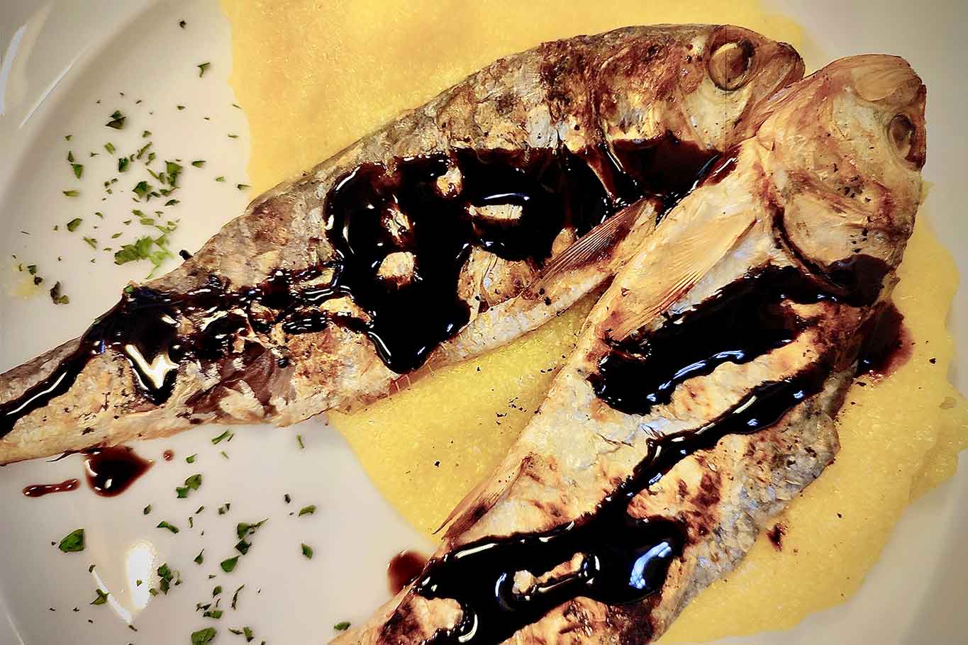 ristorante Il Barcaiolo Lecco missoltini con polenta