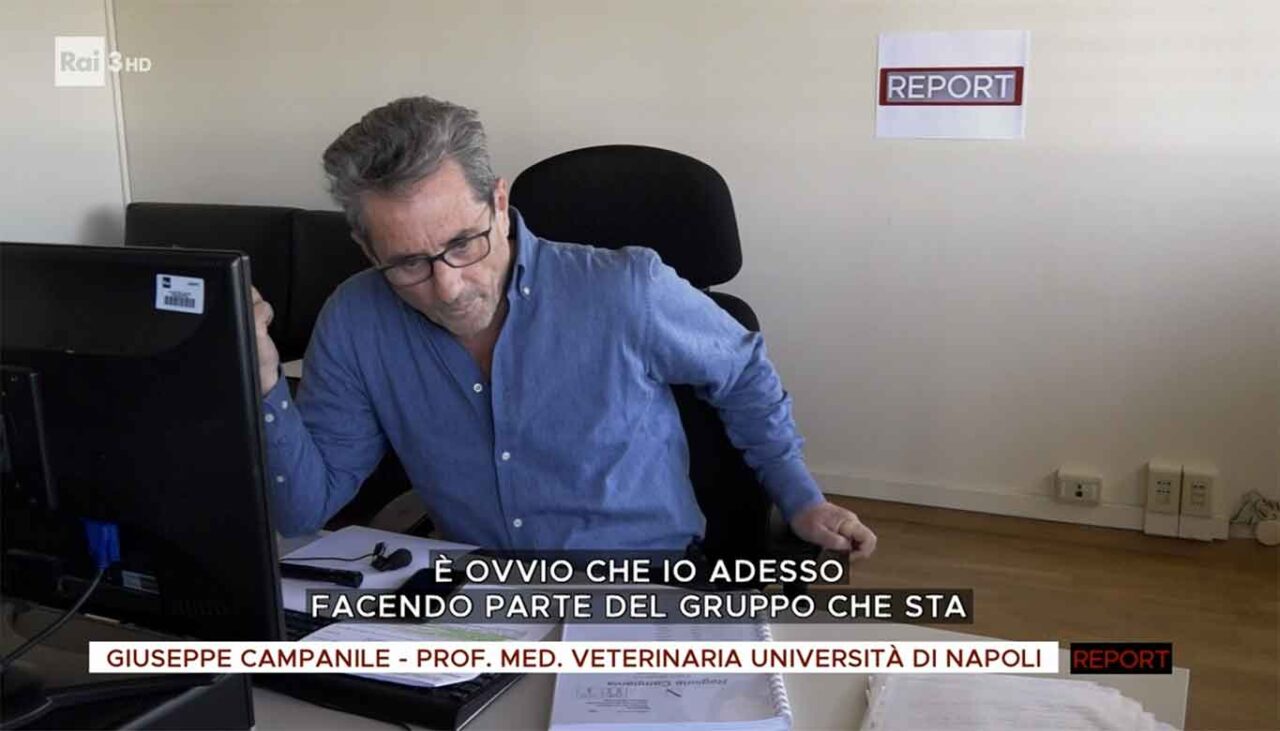 Bufale da macello Report Bernardo Iovene intervista Giuseppe Campanile