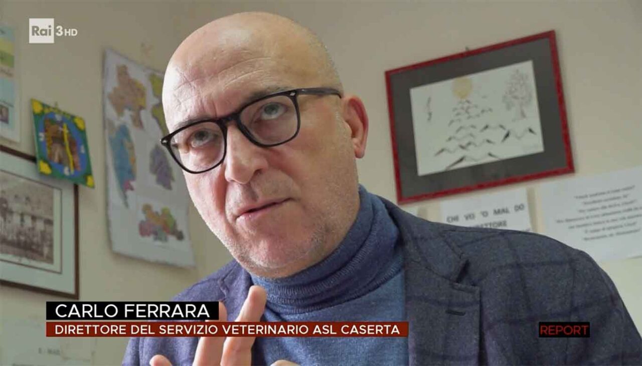 Bufale da macello Report Carlo Ferrara