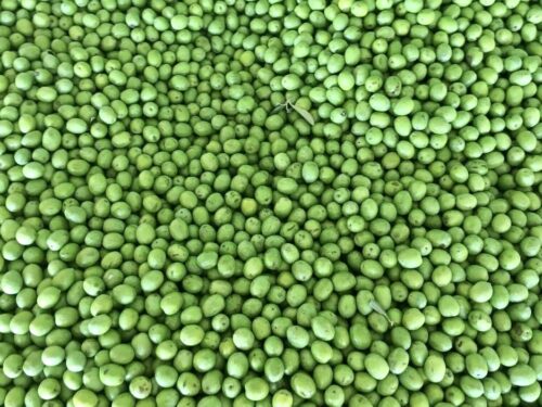 Olive Sicilia