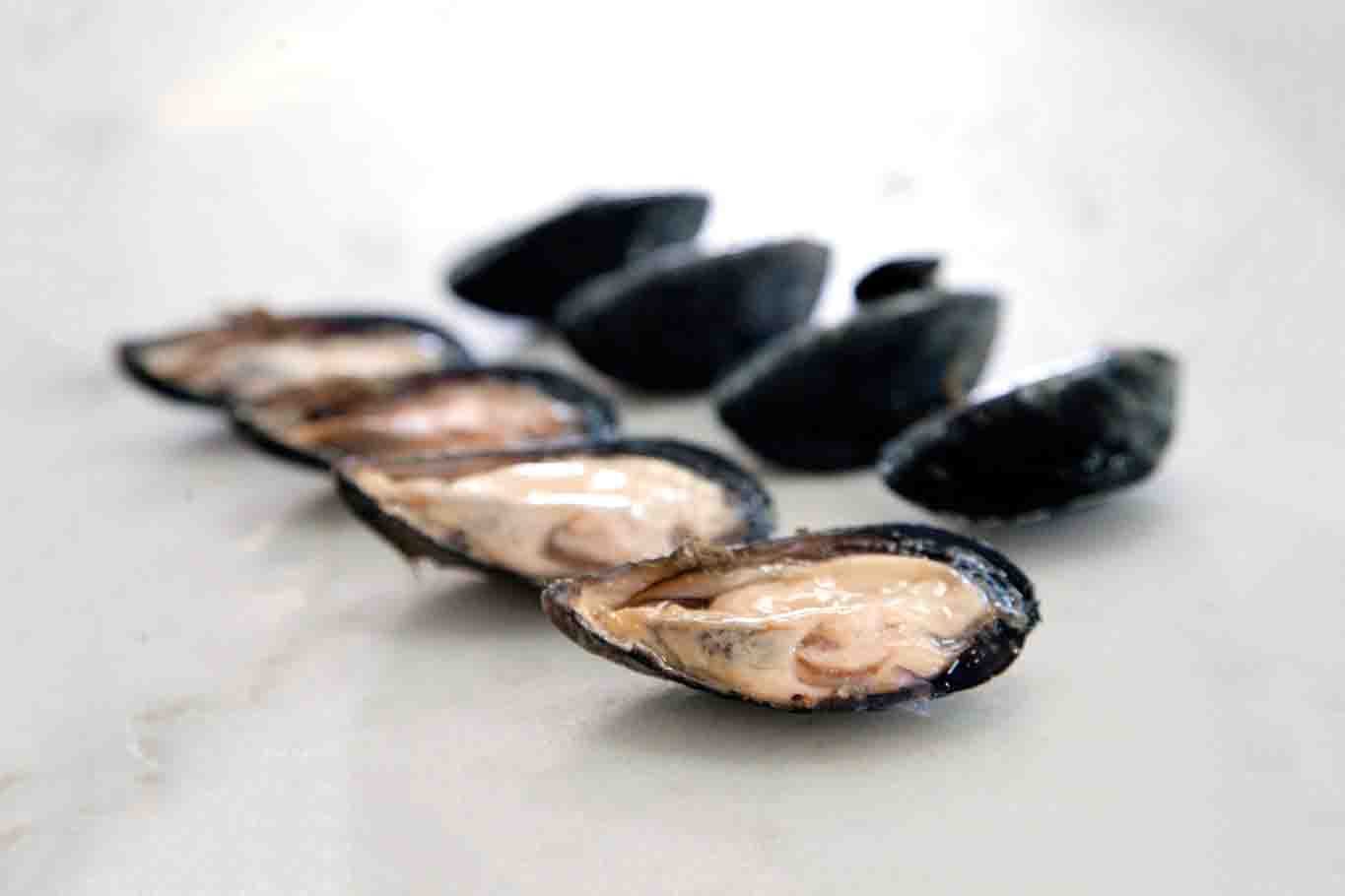 cozze