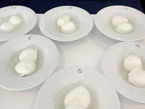 mozzarella championship 2022 campionato quarti