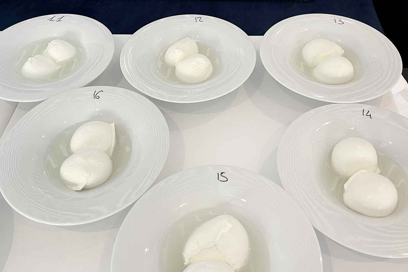 mozzarella championship 2022 campionato quarti