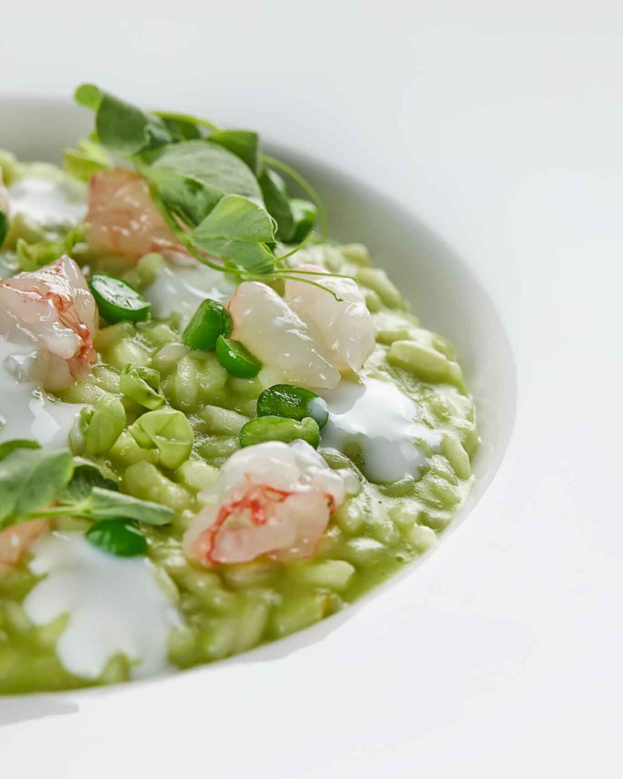 ristorante Borgo Evo Cava de' Tirreni risotto