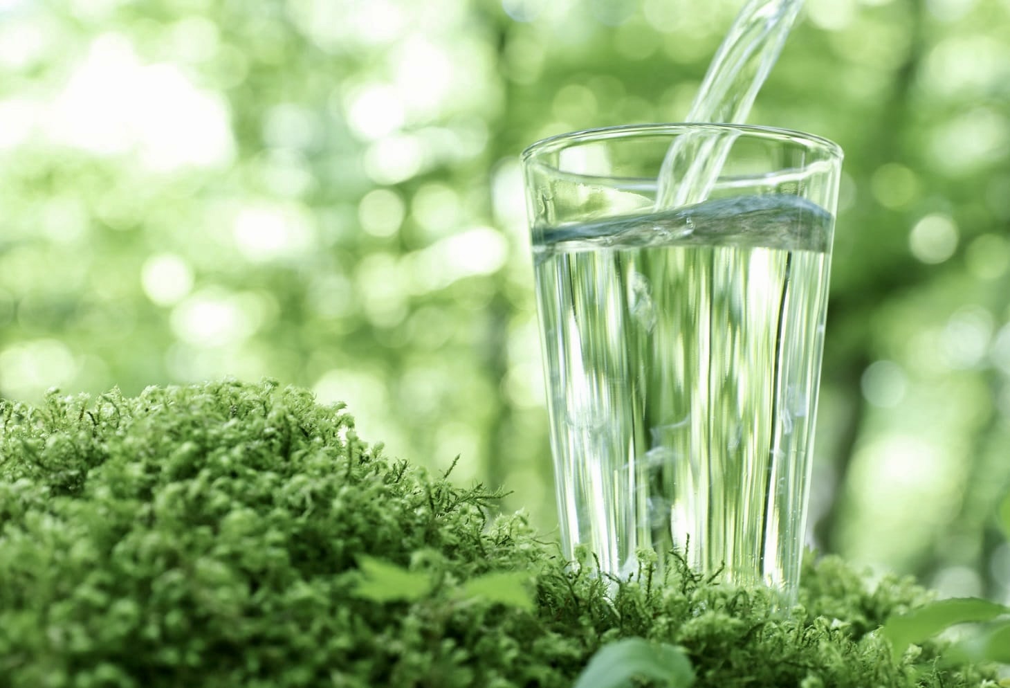 Acqua naturale copertina