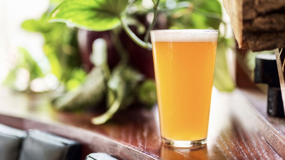 Birra IPA storia, significato, caratteristiche. Terapia d’urto anti caldo