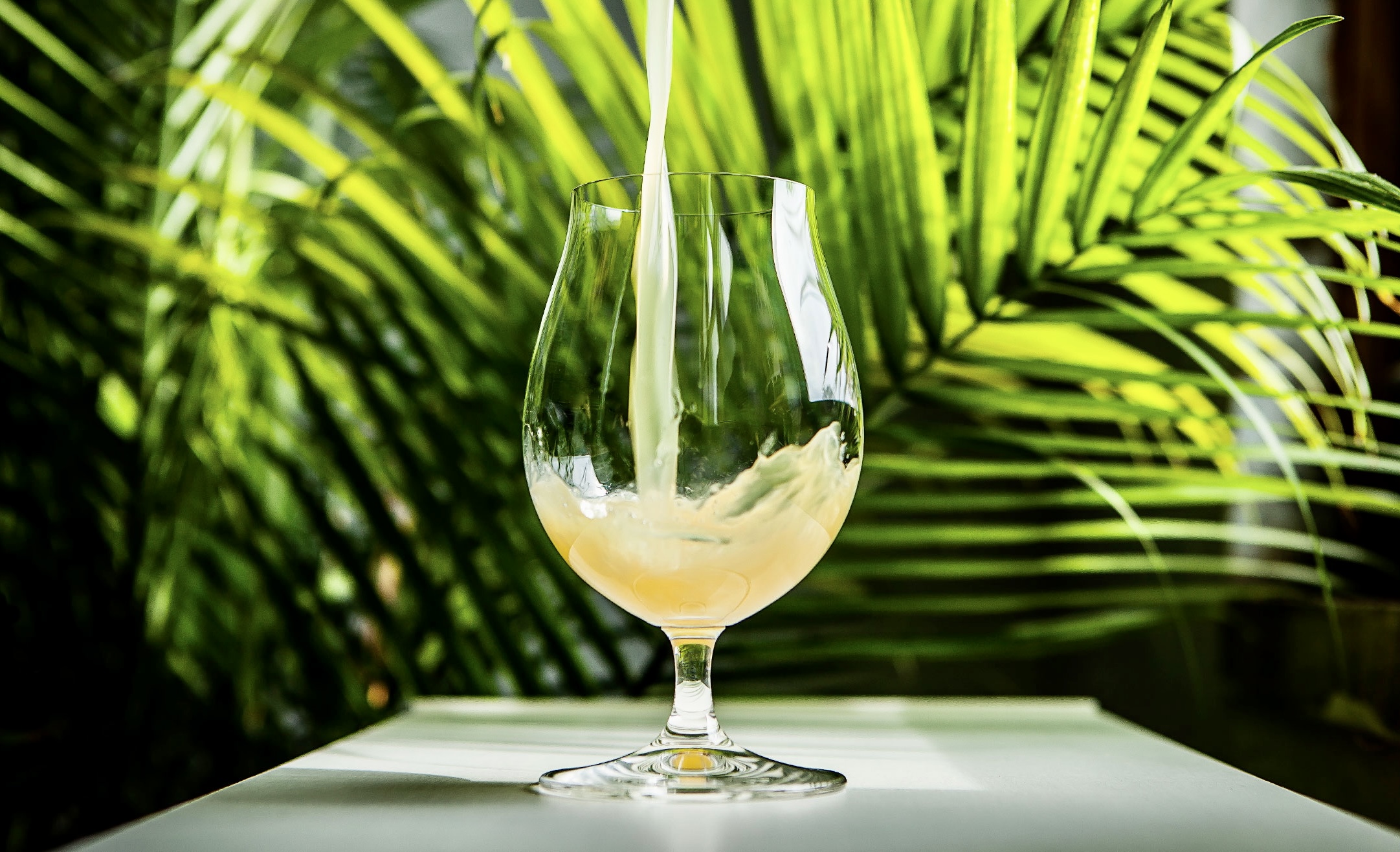 Birra IPA estate