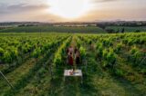 vigneti ad Alghero