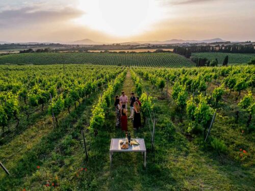 vigneti ad Alghero