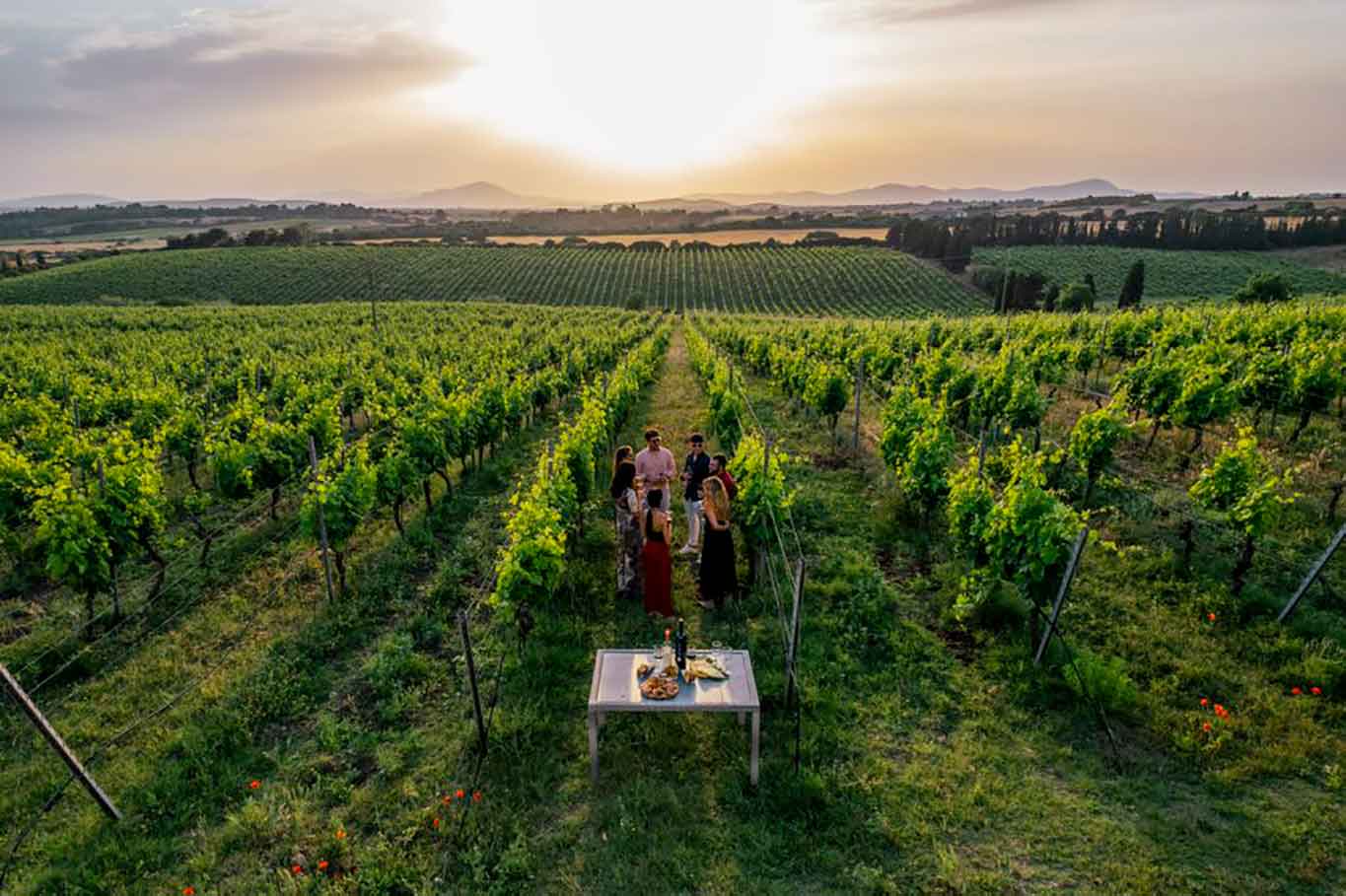 vigneti ad Alghero