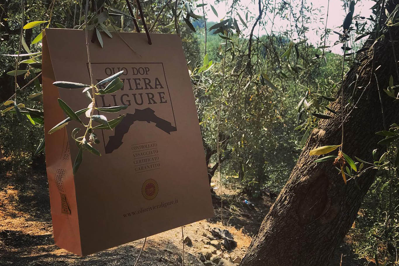 olio ligure dop
