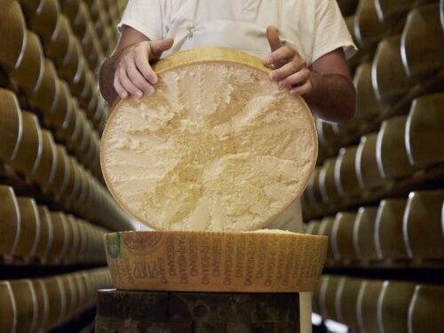 Parmigiano reggiano migliore formaggio del mondo