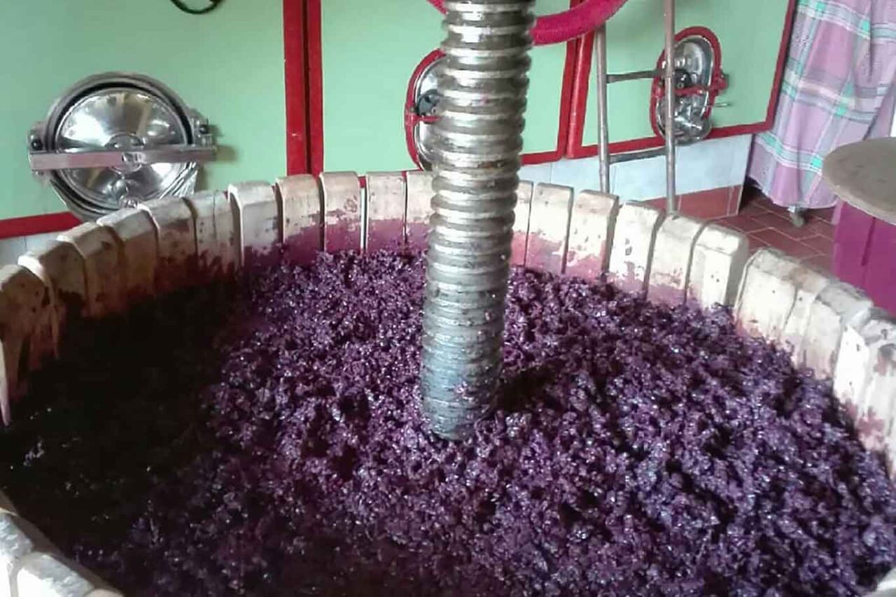spremitura delle uve con metodi manuali per il vino naturale ad Ardea