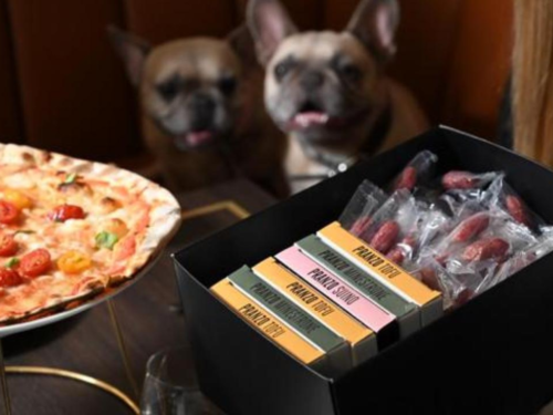 crazy pizza briatore menu cani