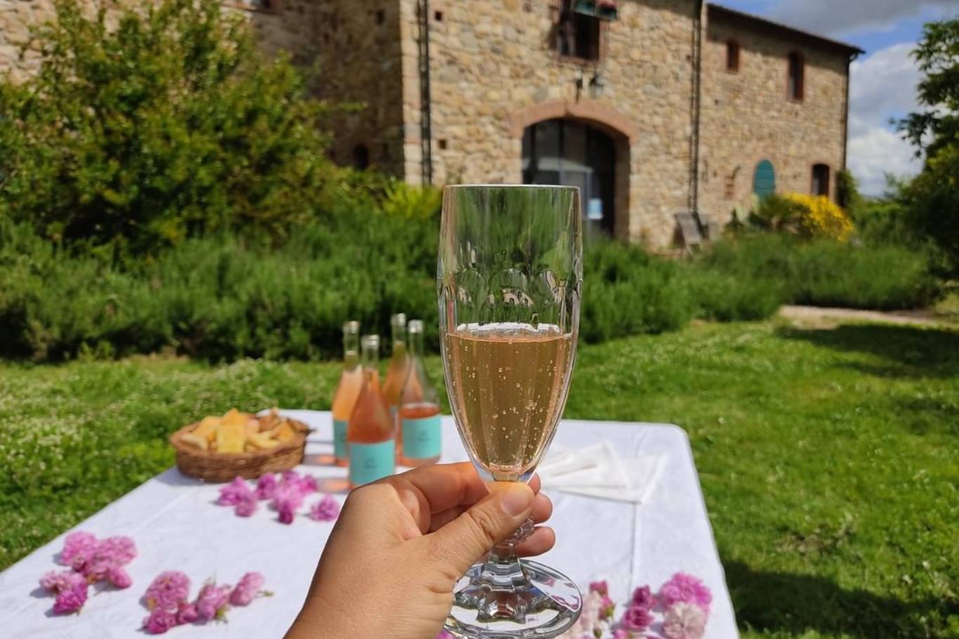fattoria statiano pisa
