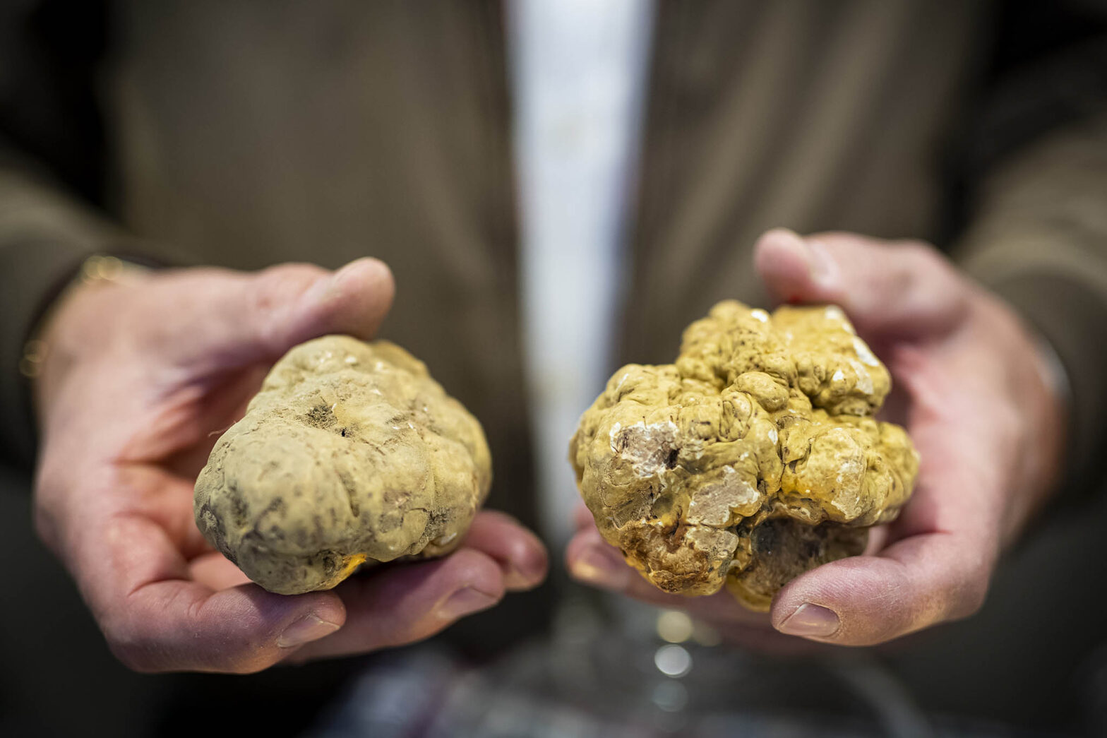 Il tartufo di Alba. Foto di Giorgio Perottino/Getty Images