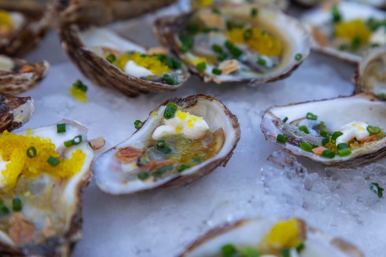 Oyster