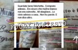 Mulino Bianco farina insetti