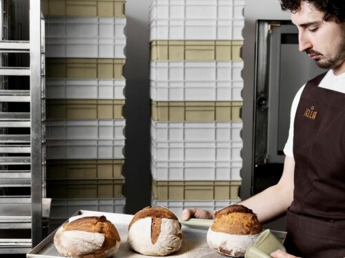 Pane farina di grillo Murdocco