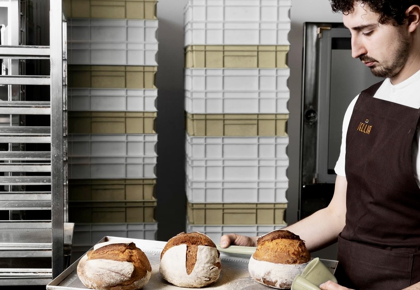Pane farina di grillo Murdocco