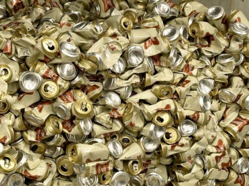 Birra Miller Champagne lattine