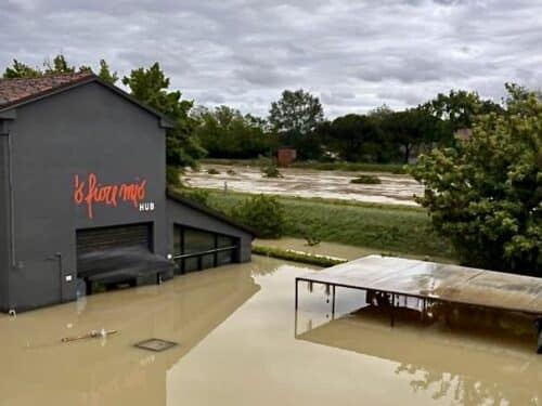 Raccolta fondi per O Fiore Mio di Faenza distrutto dall’alluvione in Emilia Romagna