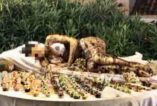 Donna cioccolato nel buffet dell’hotel in Sardegna