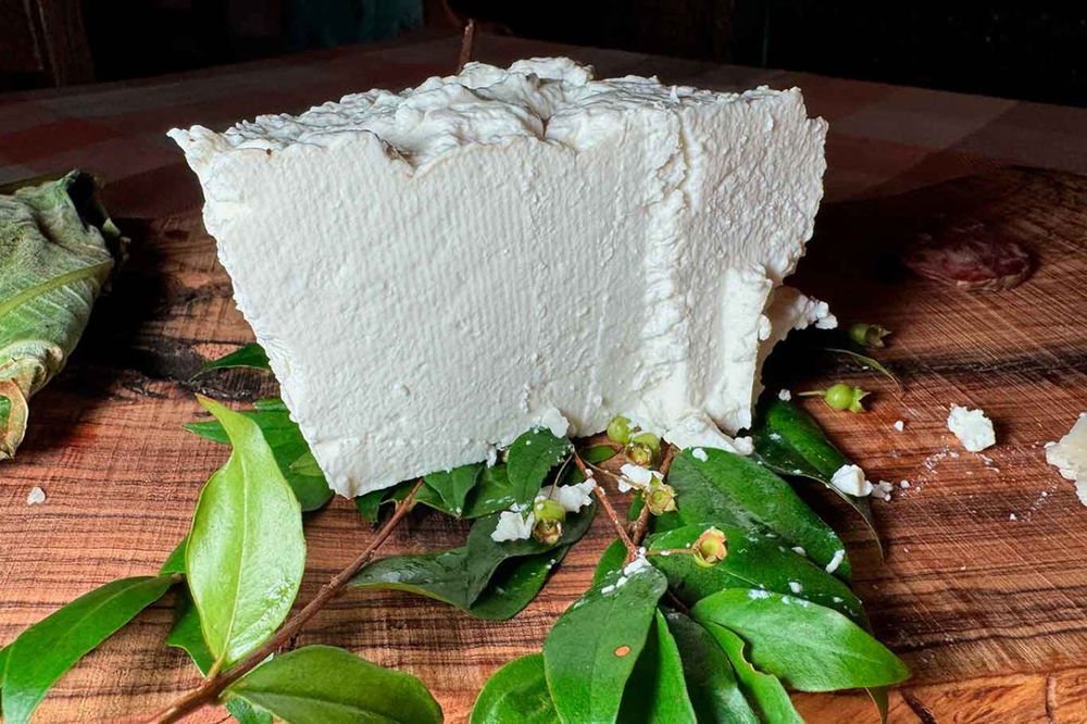 la ricotta dell'agriturismo Capalia a Pollica in Cilento