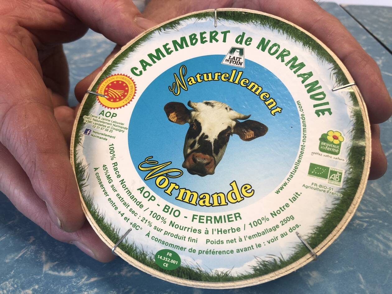 il camembert de normandie a Cheese 2023 a Bra
