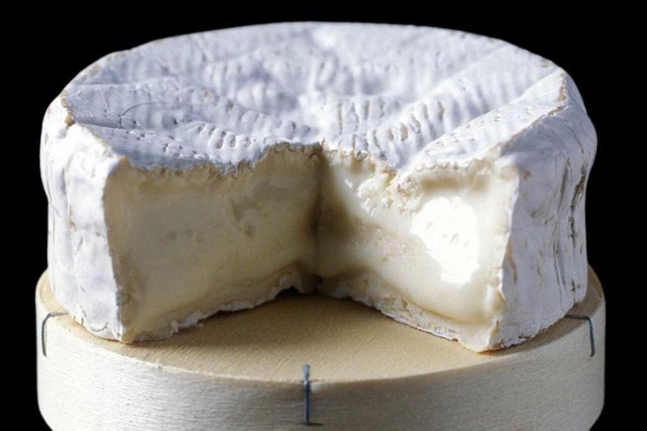 Il formaggio Jovencau a Cheese 2023 a Bra