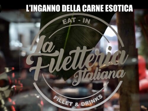 Le Iene La Filetteria